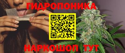 apvp Заволжье